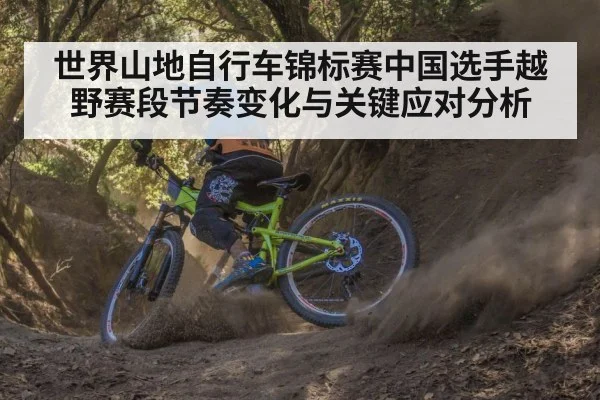 mountain bike downhill forest