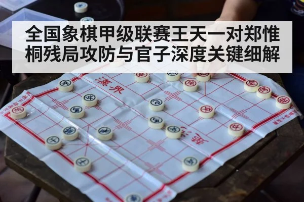 全国象棋甲级联赛王天一对郑惟桐残局攻防与官子深度关键细解
